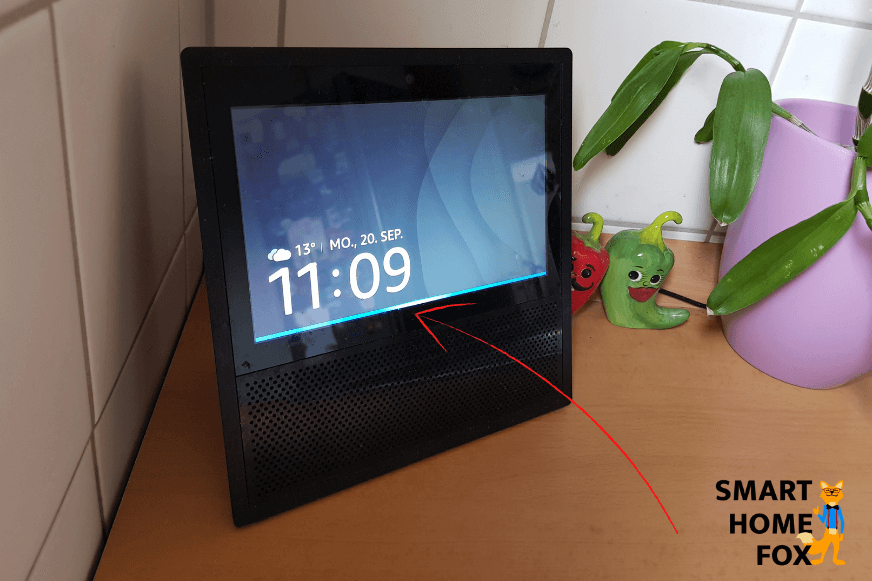 Das Licht am Alexa Echo Show leuchtet blau